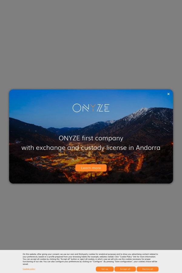 Onyze website
